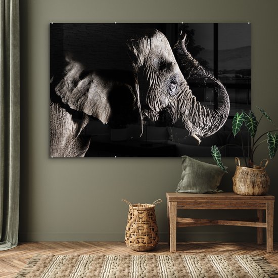 MuchoWow® Peinture sur verre 150x100 cm - Peinture sur verre acrylique - Éléphant - Zwart - Animaux - Nature - Photo sur verre - Peintures