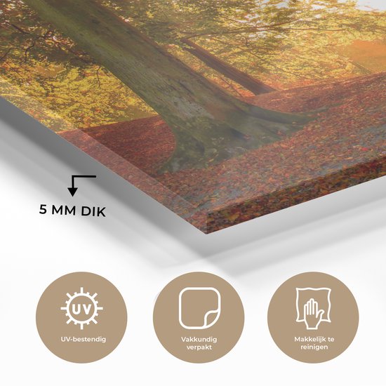 MuchoWow® Glasschilderij 120x80 cm - Schilderij acrylglas - Herfst - Zon - Bos - Foto op glas - Schilderijen