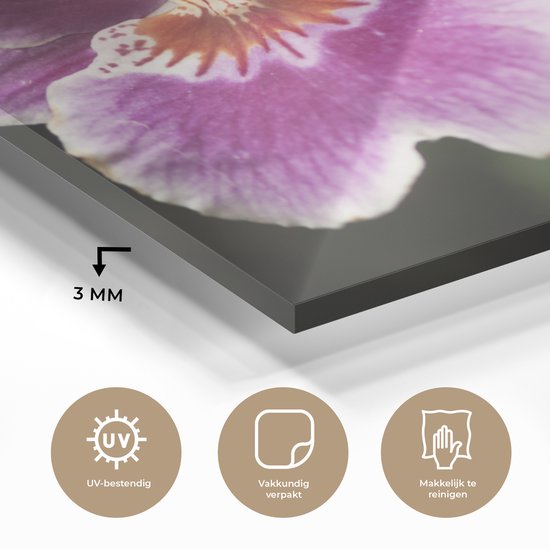 ® Glasschilderij 40x30 cm - Schilderij acrylglas - Wilde orchidee - Foto op glas - Muurdecoratie woonkamer - Wanddecoratie slaapkamer - Schilderijen