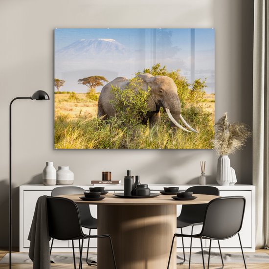 MuchoWow® Peinture sur Verre - Éléphant se cachant derrière un buisson - 120x90 cm - Peintures sur Verre Acrylique - Photo sur Glas