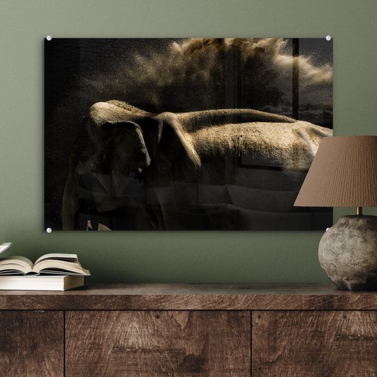 MuchoWow® Peinture sur verre 60x40 cm - Peinture sur verre acrylique - Éléphant - Boue - Animaux - Zwart - Photo sur verre - Peintures