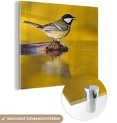 MuchoWow® Glasschilderij 20x20 cm - Schilderij acrylglas - Koolmees - Vogel - Water - Foto op glas - Schilderijen
