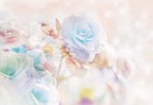 Fotobehang Flowers Pastel Colours | XXXL - 416cm x 254cm | 130g/m2 Vlies
