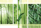 Papier peint photo Forêt de bambous Nature | PANORAMIQUE - 250cm x 104cm | Polaire 130g / m2