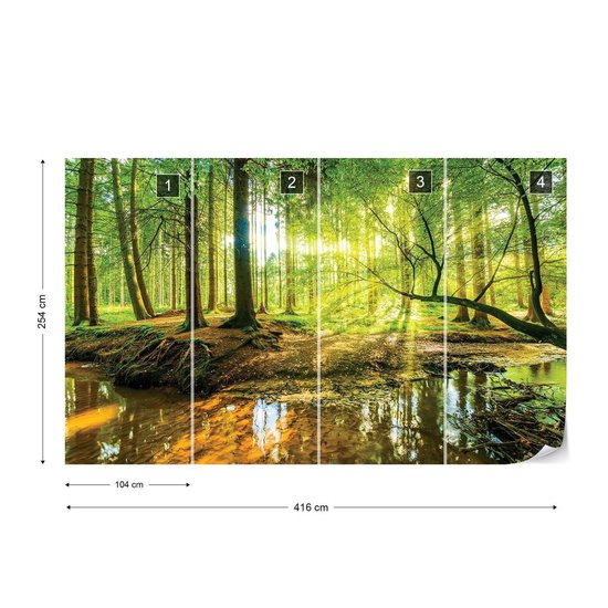 Peinture murale Forest Lake | VEXXXL - 416 cm x 254 cm | Polaire 130gr / m2