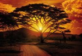 Papier peint photo Paysage de coucher de soleil | PANORAMIQUE - 250cm x 104cm | Polaire 130g / m2