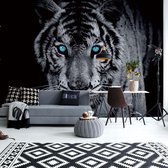 Fotobehang Black And White Tiger Blue Eyes | VEA - 206cm x 275cm | 130gr/m2 Vlies