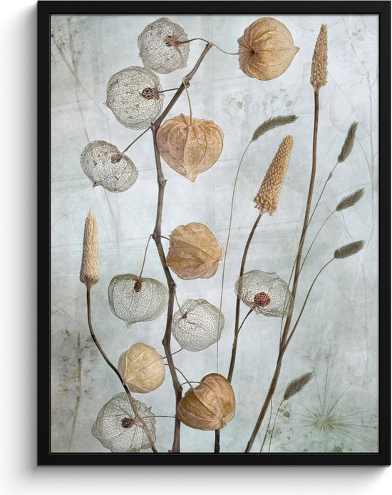 Affiche - Cadre - Fleurs séchées - Automne - Plantes - Nature - Cadre pour affiche - Cadre - Ensemble d'affiches - 60x80 cm