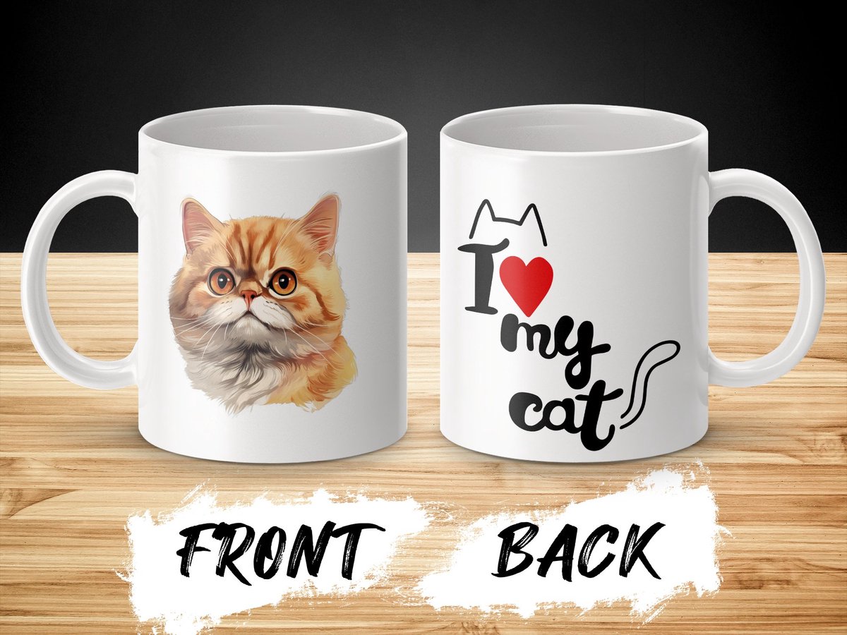 Mok Exotic Shorthair cat - kat - I love my cat - cat lovers - katten