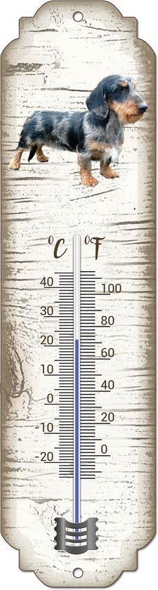 Thermomètre vertical avec un teckel et une échelle de température de -20 à 40 degrés Celsius.