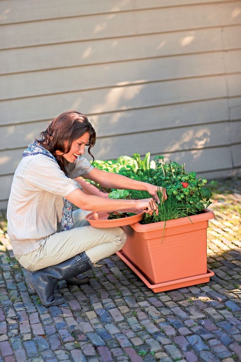 Elho Green Basics Garden Xxl 100 - Outdoor Planter