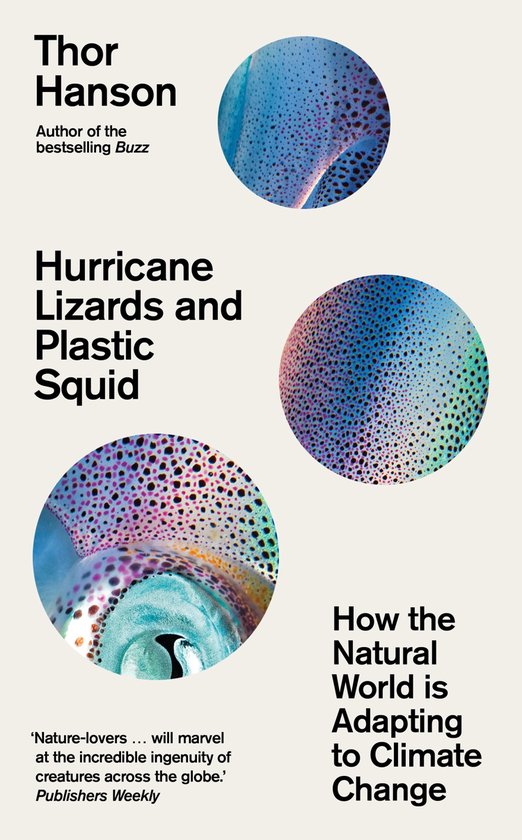 Hurricane Lizards and Plastic Squid - cover