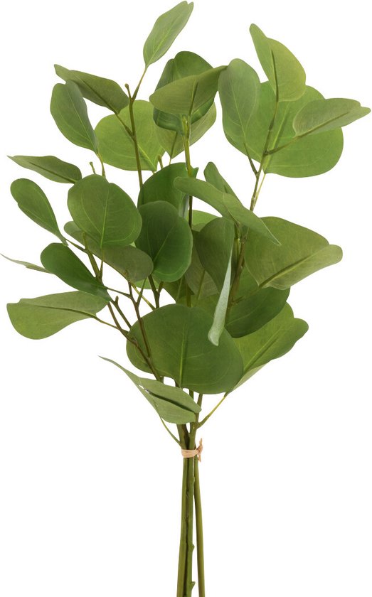 J-Line Eucalyptus Court En Bouquet Plastique Vert