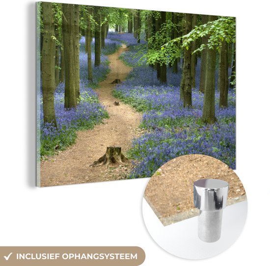 Peinture sur Verre - Forêt - Chemin - Fleurs - Blauw - 180x120 cm - Peintures sur Verre Peintures - Photo sur Glas