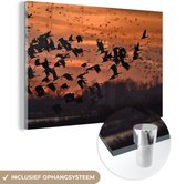 MuchoWow® Glasschilderij 60x40 cm - Schilderij acrylglas - Een groep kraanvogels bij zonsondergang - Foto op glas - Schilderijen
