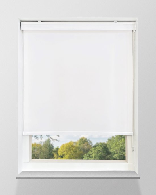 Store enrouleur blanc avec cassette, partiellement baissé pour une vue sur des arbres et un ciel bleu.