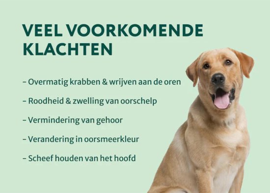Oorreiniger voor Honden - Oordruppels - Diepe Reiniging & Bescherming tegen ongemakken - 100 ml - 100% Natuurlijk & Veilig - Oorverzorging - Vermindert Oorjeuk, Roodheid, Overmatig Oorsmeer, Uitvloeiing