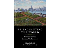 Omslag van Re-enchanting The World