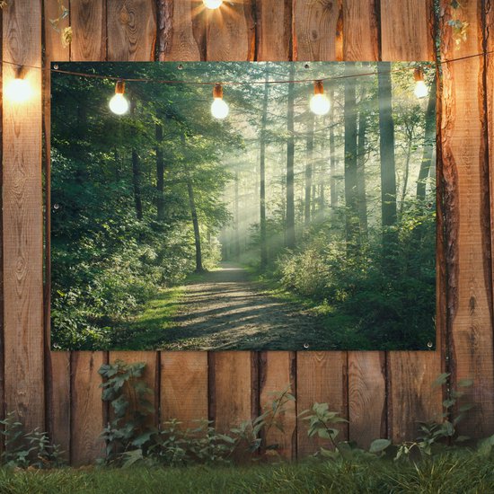 Un sentier forestier avec des rayons de soleil, accroché à une clôture en bois avec des lumières.
