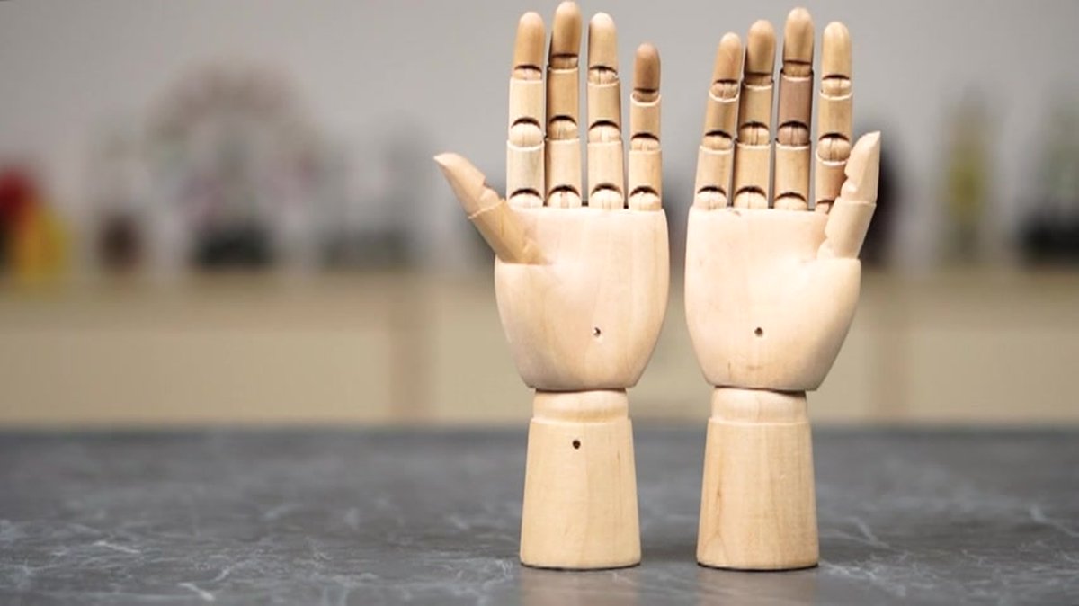 Mannequin Main Articulé En Bois - Main Gauche Avec Doigts Et Poignet Mobiles - 12 Pouces