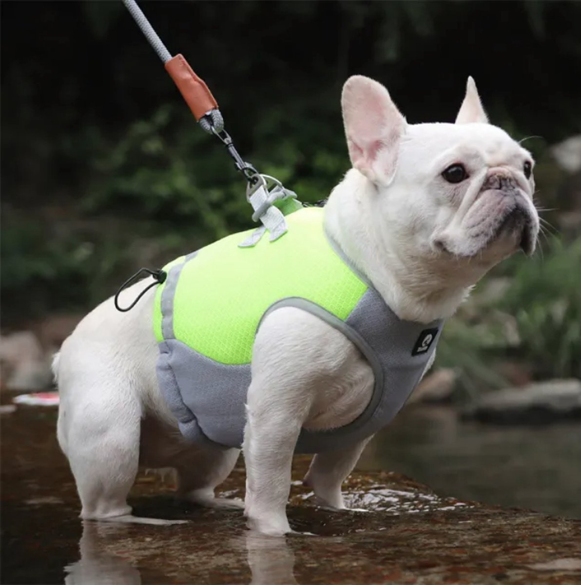 Verkoelend hondenvest Harnas Geel - Maat XL 12-18KG - Koelvest voor Hond - Dogs&Co