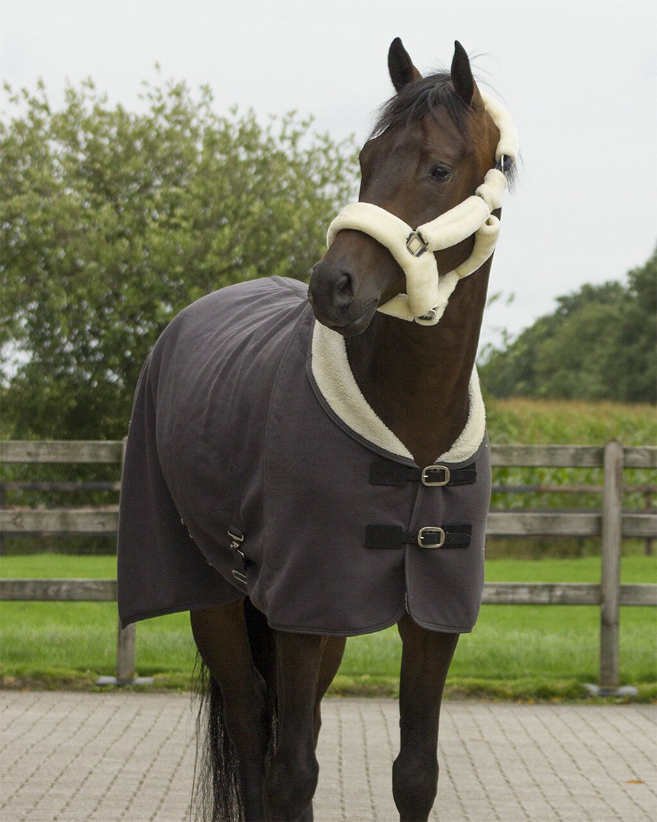 Qhp Halster Alaska Grijs-beige - shetlander