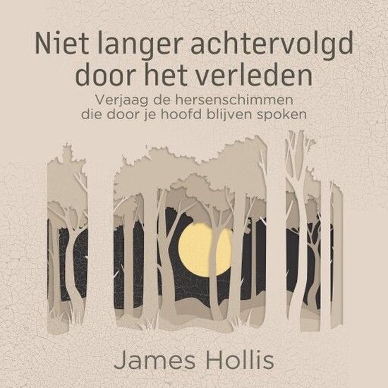 Niet langer achtervolgd door het verleden - cover