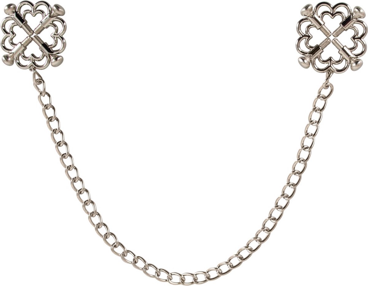 Goedkoopste Bad Kitty Elegant Versierde RVS Tepelklemmen - RVS Tepelklemmen met Schakelketting en 4 Drukschroeven