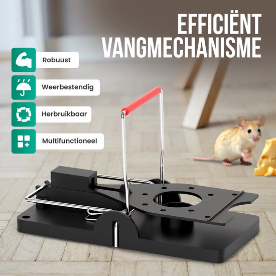 Super Ninja mierenlokdoosjes voor Binnen en Buiten – 4