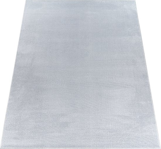 Paco Home Tapis Salon Poils Ras Lavable Design Moderne Monochrome Argent 200x280 Cm