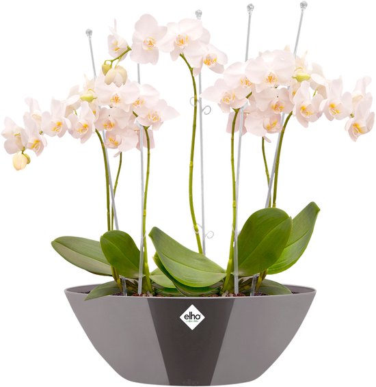 Elho Brussels Diamond Rotondo 16 - Vaso Per Interni Oro/velluto, 15,8 X H 14,5 Cm, Plastica Riciclata