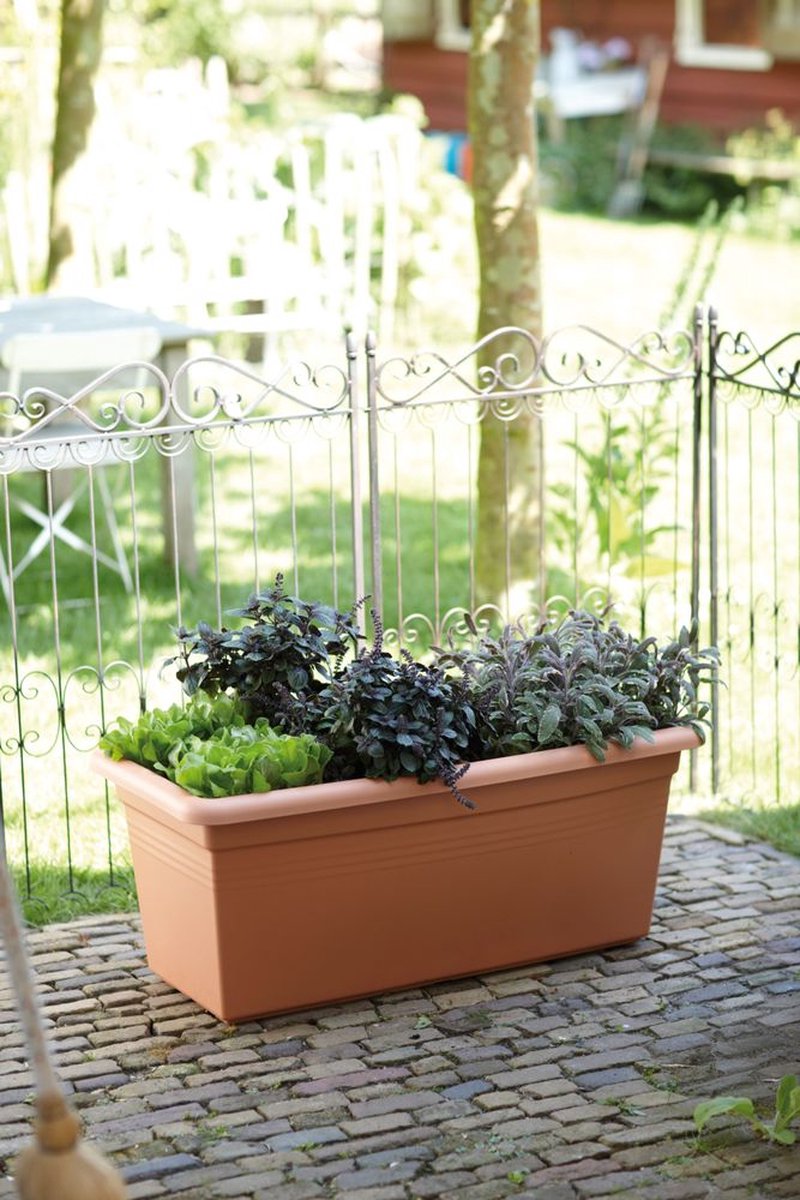 Elho Green Basics Garden Xxl 100 - Outdoor Planter