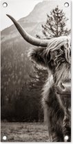 Tuinposter Schotse hooglander - Stier - Zwart - Wit - 30x60 cm - Tuindoek - Buitenposter