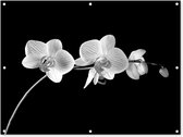 Tuinposter - Tuindoek - Tuinposters buiten - Orchidee - Bloemen - Zwart - Roze - Knoppen - 120x90 cm - Tuin