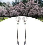 NatureNest - Amandelboompje XXL - Prunus Triloba - 2 stuks - 90cm