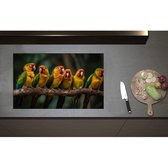 Inductieplaat Beschermer - Ara papegaaien zitten op een rijtje langs elkaar op een tak - 80x50 cm - 2 mm Dik - Inductie Beschermer - Bescherming Inductiekookplaat - Kookplaat Beschermer van Zwart Vinyl