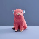 Spaarpot - Spaarvarken Piggybank Pink