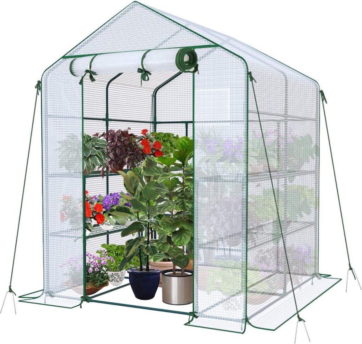 Kweekkas Tomatenkas Tomatenserre Tomaten Kweekkas Foliekas Kweektent