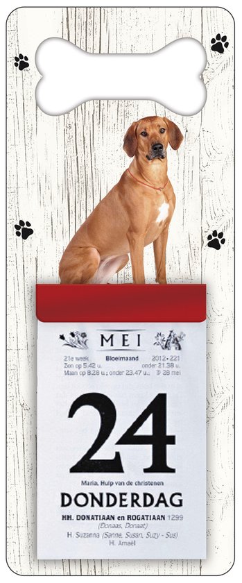 Scheurkalender 2024 Hond: Rhodesian Ridgeback