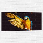 WallClassics - Muursticker - Ara Papegaai met Geel Gouden Vleugels - 100x50 cm Foto op Muursticker