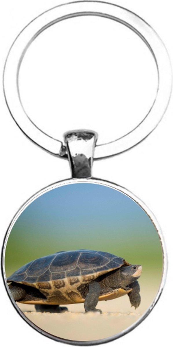 Sleutelhanger Glas - Schildpad