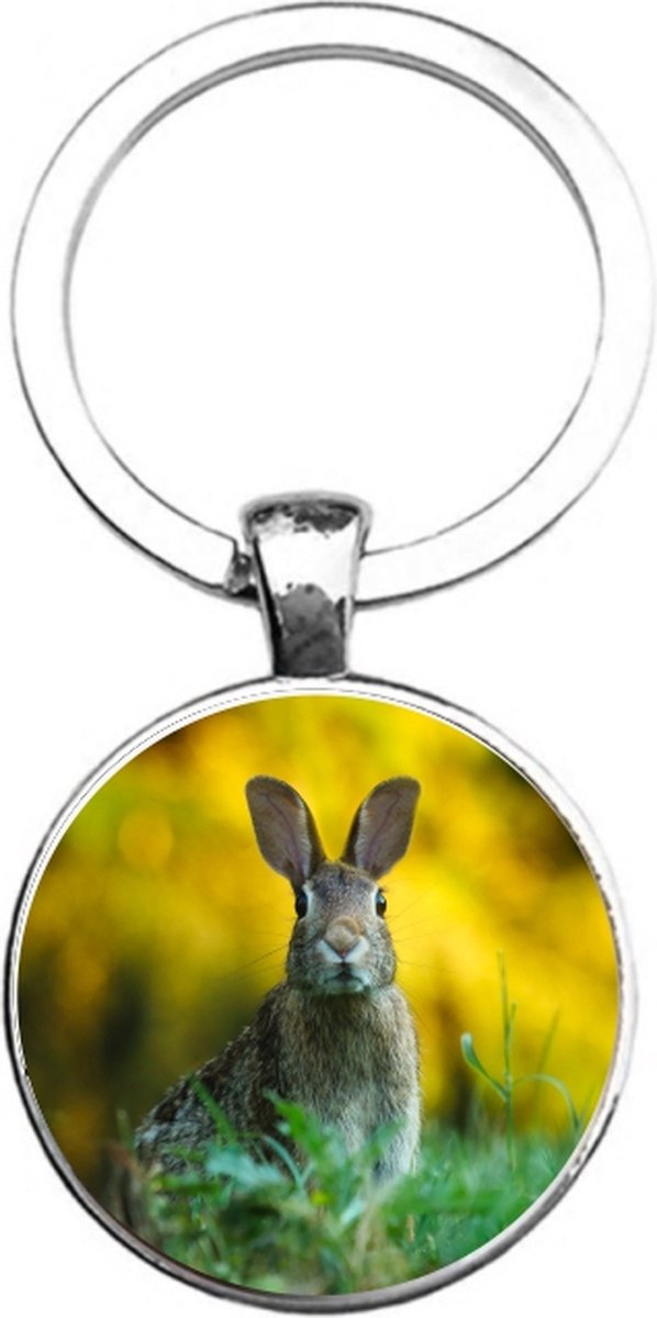 Sleutelhanger Glas - Konijn