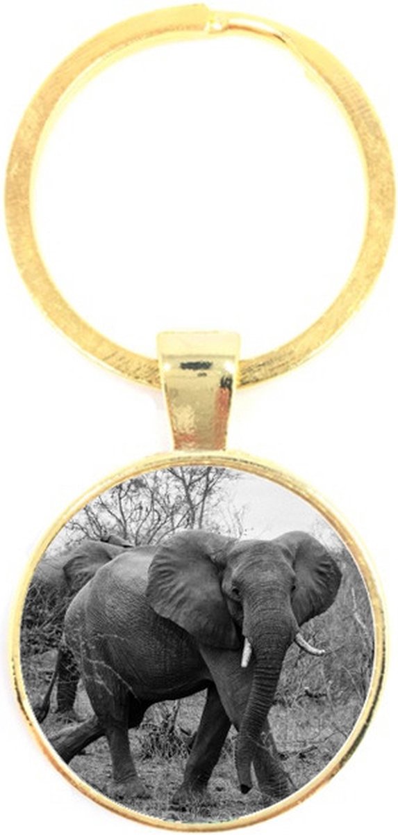 Sleutelhanger Glas - Olifant
