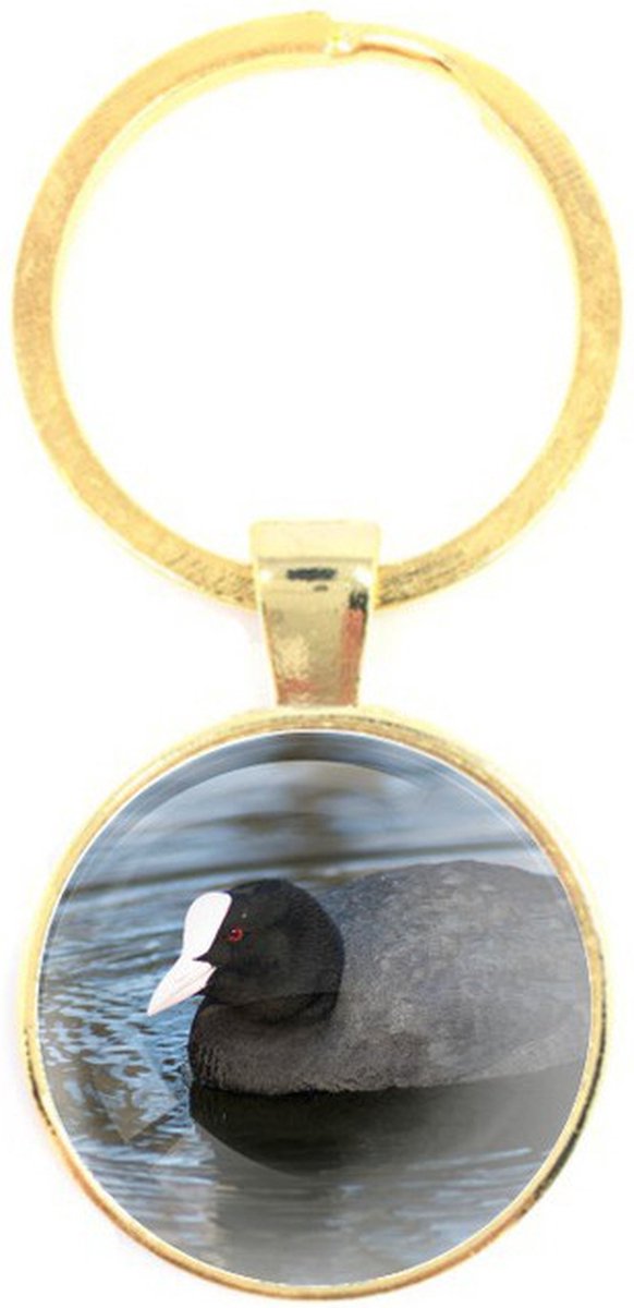 Sleutelhanger Glas - Meerkoet