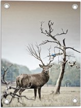 WallClassics - Tuinposter – Hert met Groot Gewei - 30x40 cm Foto op Tuinposter  (wanddecoratie voor buiten en binnen)