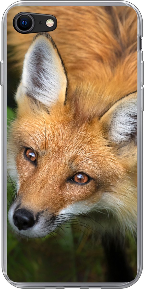Telefoonhoesje Geschikt voor iPhone SE 2022 hoesje - Vos - Groen - Oranje - Siliconen Telefoonhoesje Telefoonhoesje