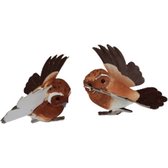 Décoration oiseaux sur patère version marron - Marron / Zwart - Plastique / Métal - 7 cm - Set de 2 - Décoration - DIY - Artisanat - Intérieur