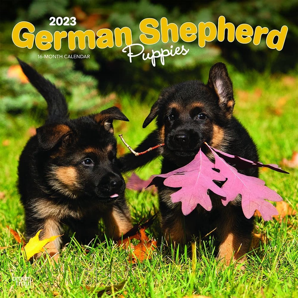 Duitse Herder Kalender Puppies 2023
