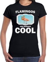 Dieren flamingo vogels t-shirt zwart dames - flamingos are serious cool shirt - cadeau t-shirt flamingo/ flamingo vogels liefhebber XL
