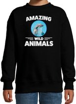 Sweater dolfijn - zwart - kinderen - amazing wild animals - cadeau trui dolfijn / dolfijnen liefhebber 110/116
